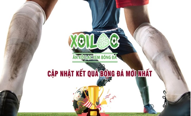 Đối chiếu thông tin thay vì suy đoán - K29